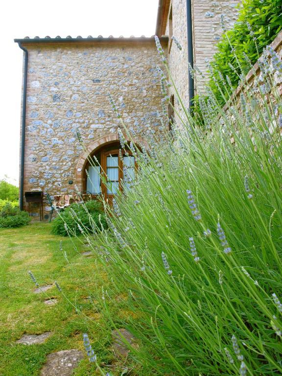 Podere Casanuova San Gimignano Kamer foto