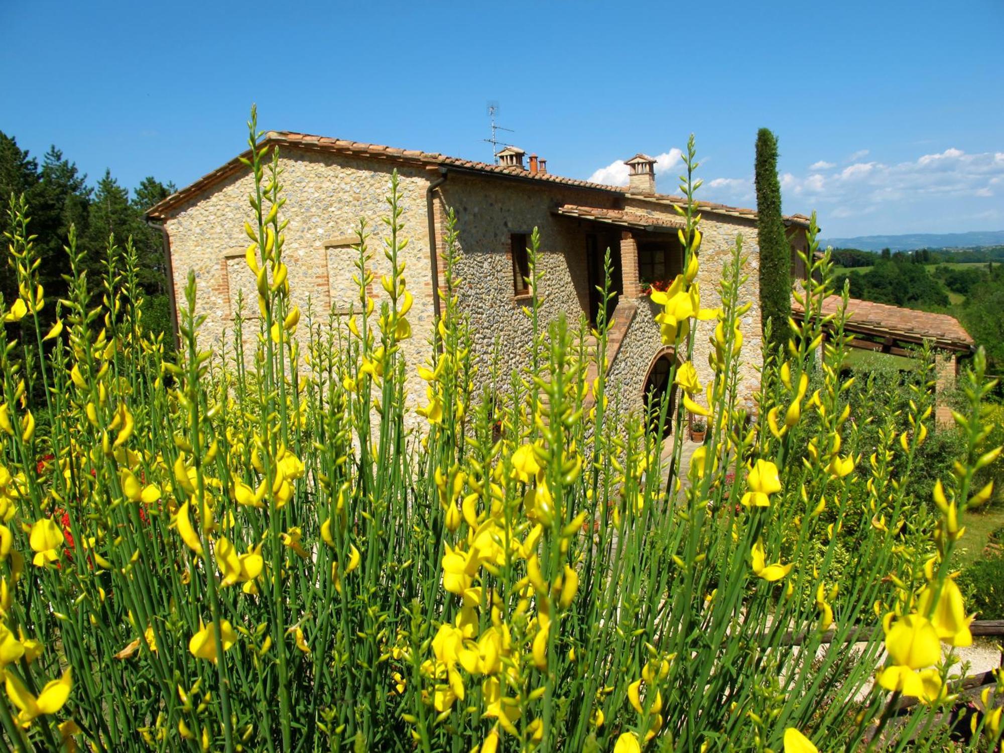 Podere Casanuova San Gimignano Buitenkant foto